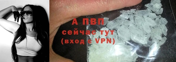 стаф Абинск