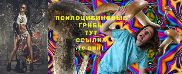 экстази Алексин