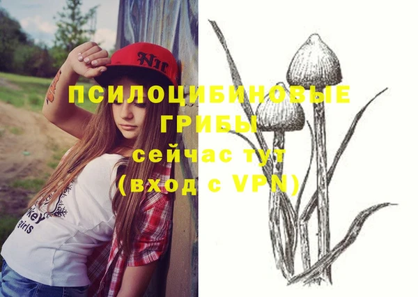 спайс Алексеевка