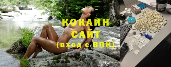 стаф Абинск