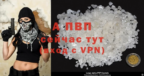 стаф Абинск